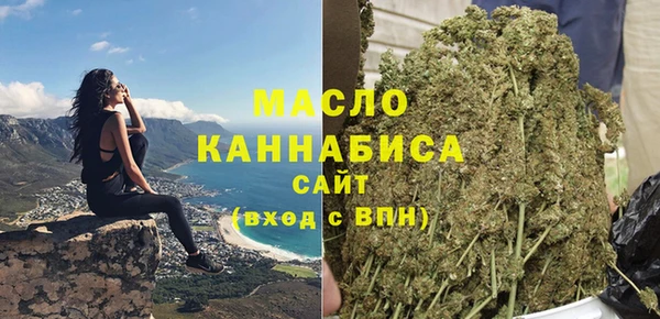 молекула духа Вяземский