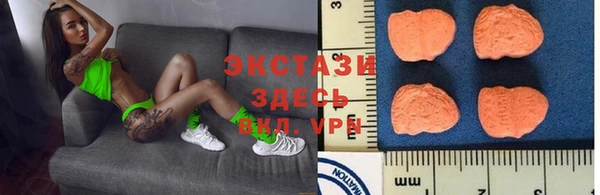 молекула духа Вяземский