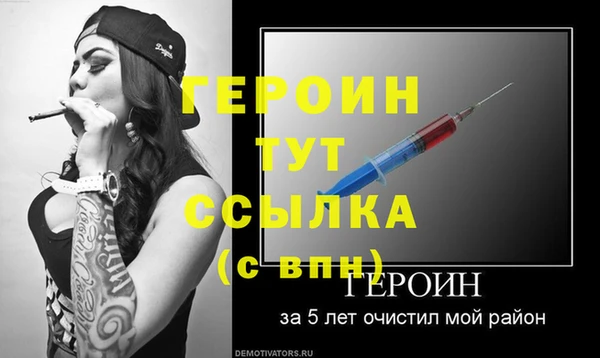 молекула духа Вяземский