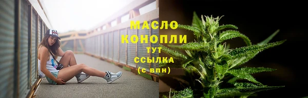 молекула духа Вяземский
