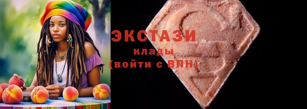 молекула духа Вяземский