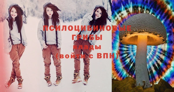 молекула духа Вяземский