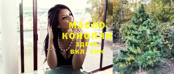 молекула духа Вяземский