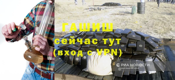 молекула духа Вяземский