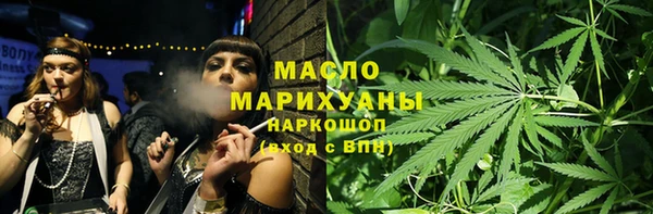 молекула духа Вяземский