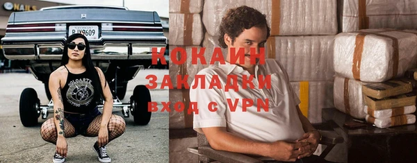 молекула духа Вяземский