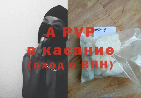 молекула духа Вяземский