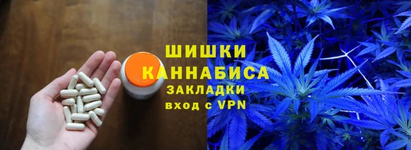 молекула духа Вяземский