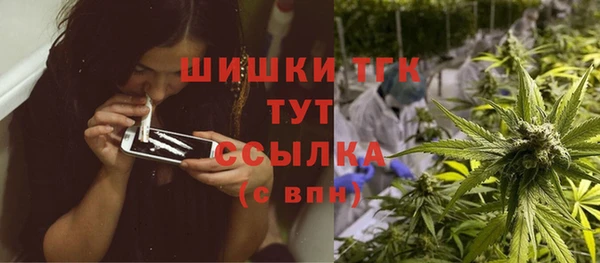 молекула духа Вяземский
