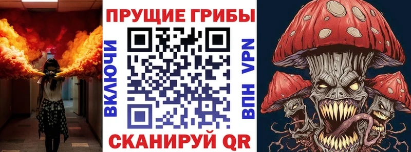 mega   Дербент  Псилоцибиновые грибы Psilocybine cubensis 